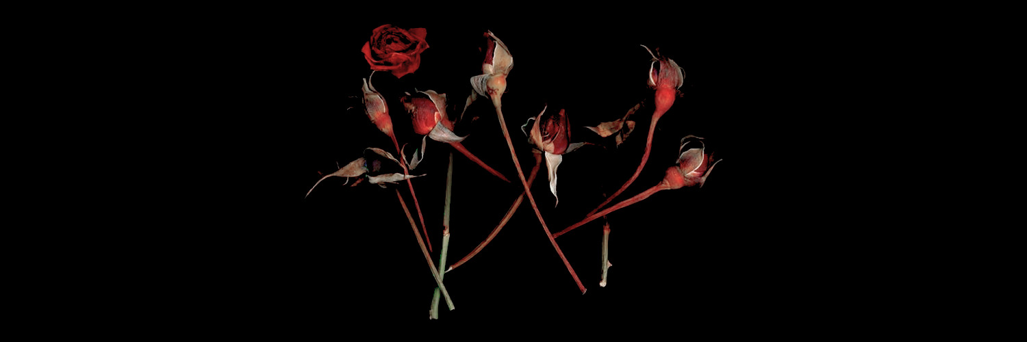 Fennel's header image